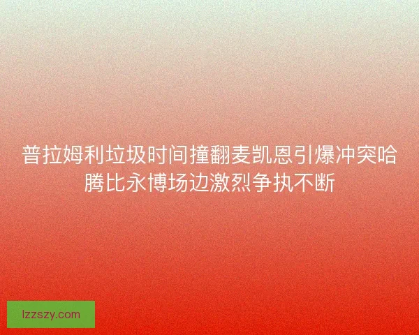 普拉姆利垃圾时间撞翻麦凯恩引爆冲突哈腾比永博场边激烈争执不断